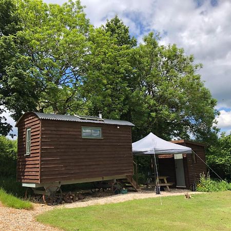 The Shepherds Hut At The Shippen, Tiphayes Honiton Kültér fotó